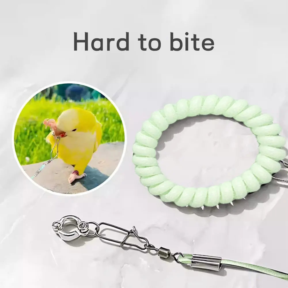 Premium Ultra-Light Bird Training Leash with Elastic Release Rope and Foot Ring Harness for Safe Indoor and Outdoor Flight Training