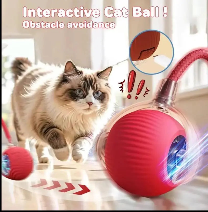 Rechargeable Interactive Pet Toy Ball with Bird Chirping Sound and Smart Motion Sensor, Designed for Durability and Quiet Operation, Offering Anti-Depression Benefits and Extended Battery Life for Versatile Use