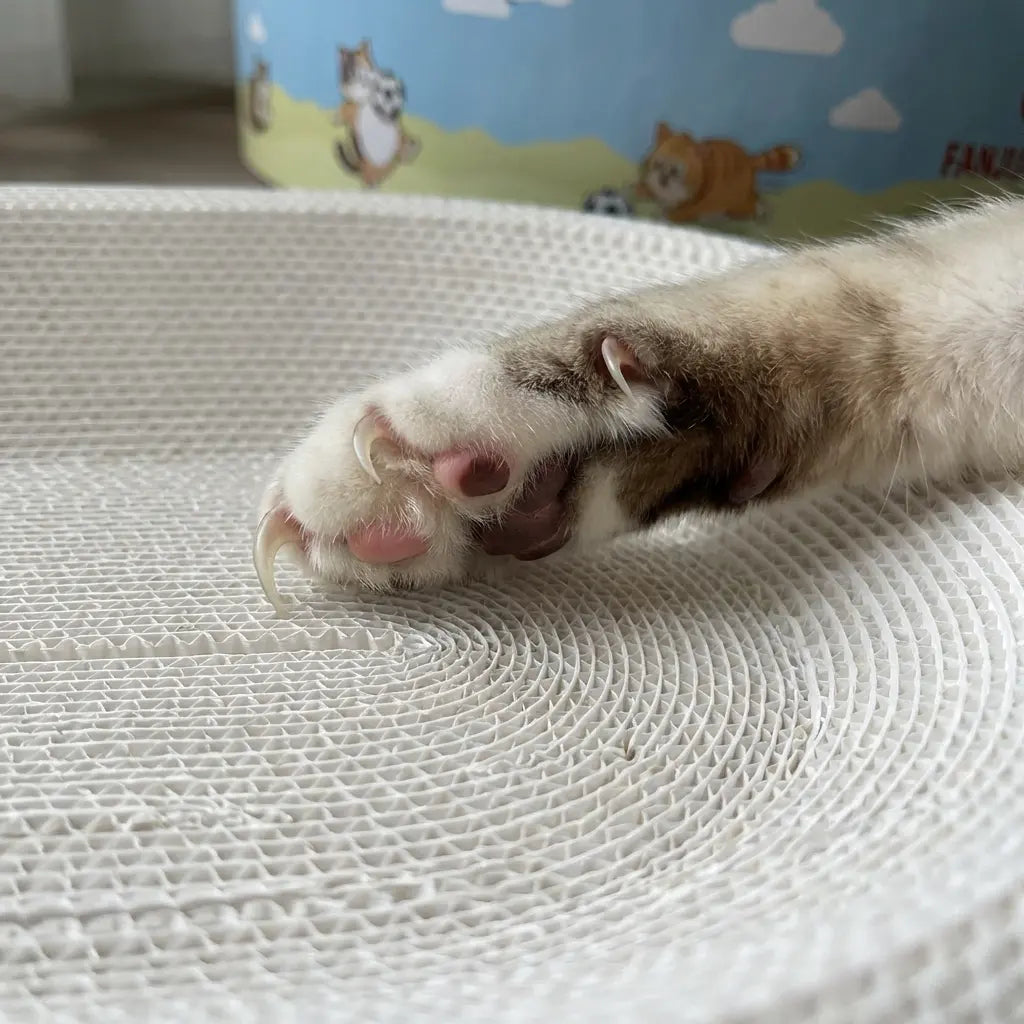 Premium Cat Scratching Board with Cartoon Design - Oval, Spacious, Debris-Free, and Enhanced Anti-Slip Safety Features for All Cats