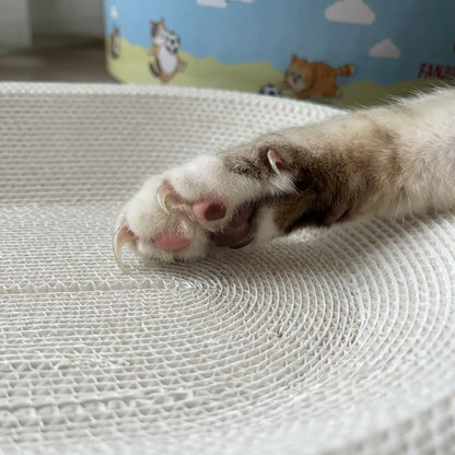 Premium Cat Scratching Board with Cartoon Design - Oval, Spacious, Debris-Free, and Enhanced Anti-Slip Safety Features for All Cats