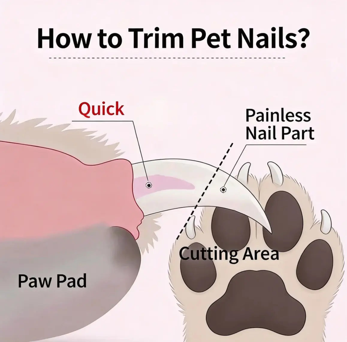 Professional Dual-Function Pet Nail Clippers with LED Light and Integrated Grinder for Dogs and Cats, Featuring Illuminated Blade, Low Noise Electric File, Safety Guard, and Nail Catcher for All Breeds
