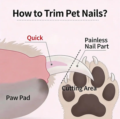 Professional Dual-Function Pet Nail Clippers with LED Light and Integrated Grinder for Dogs and Cats, Featuring Illuminated Blade, Low Noise Electric File, Safety Guard, and Nail Catcher for All Breeds