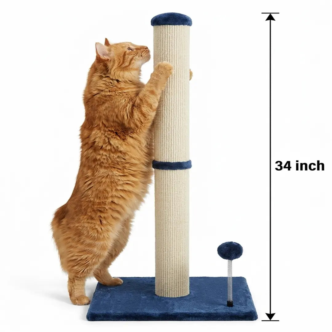 Pawrino Premium Tall Cat Scratching Post - Durable Sisal Coverage for Indoor Cats with Stable Base and Replaceable Toy Wand