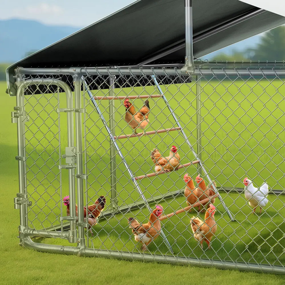 PAWGIANT Wooden Chicken Roosting Bars - 56''L x 42''W, Ideal for Backyard Farms, Easy to Assemble and Clean, Enhances Coop Comfort and Chicken Activity
