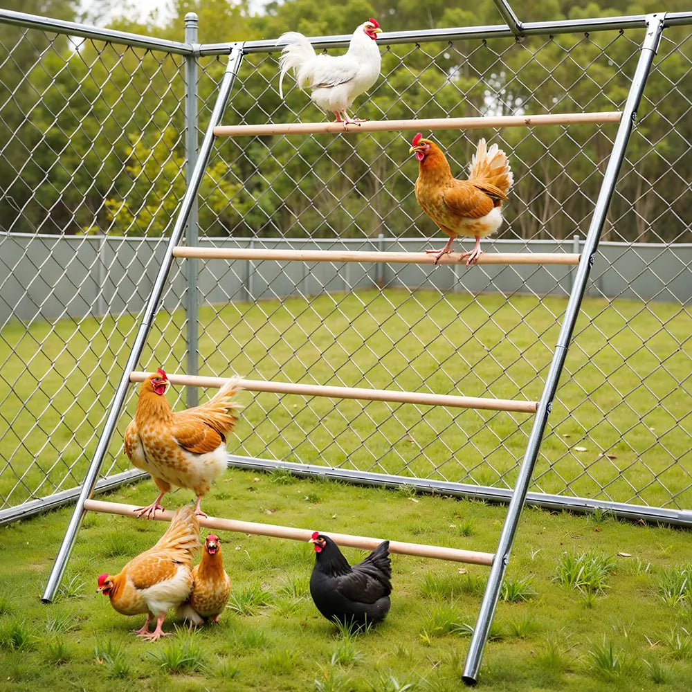 PAWGIANT Wooden Chicken Roosting Bars - 56''L x 42''W, Ideal for Backyard Farms, Easy to Assemble and Clean, Enhances Coop Comfort and Chicken Activity