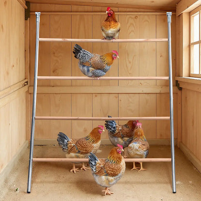 PAWGIANT Wooden Chicken Roosting Bars - 56''L x 42''W, Ideal for Backyard Farms, Easy to Assemble and Clean, Enhances Coop Comfort and Chicken Activity