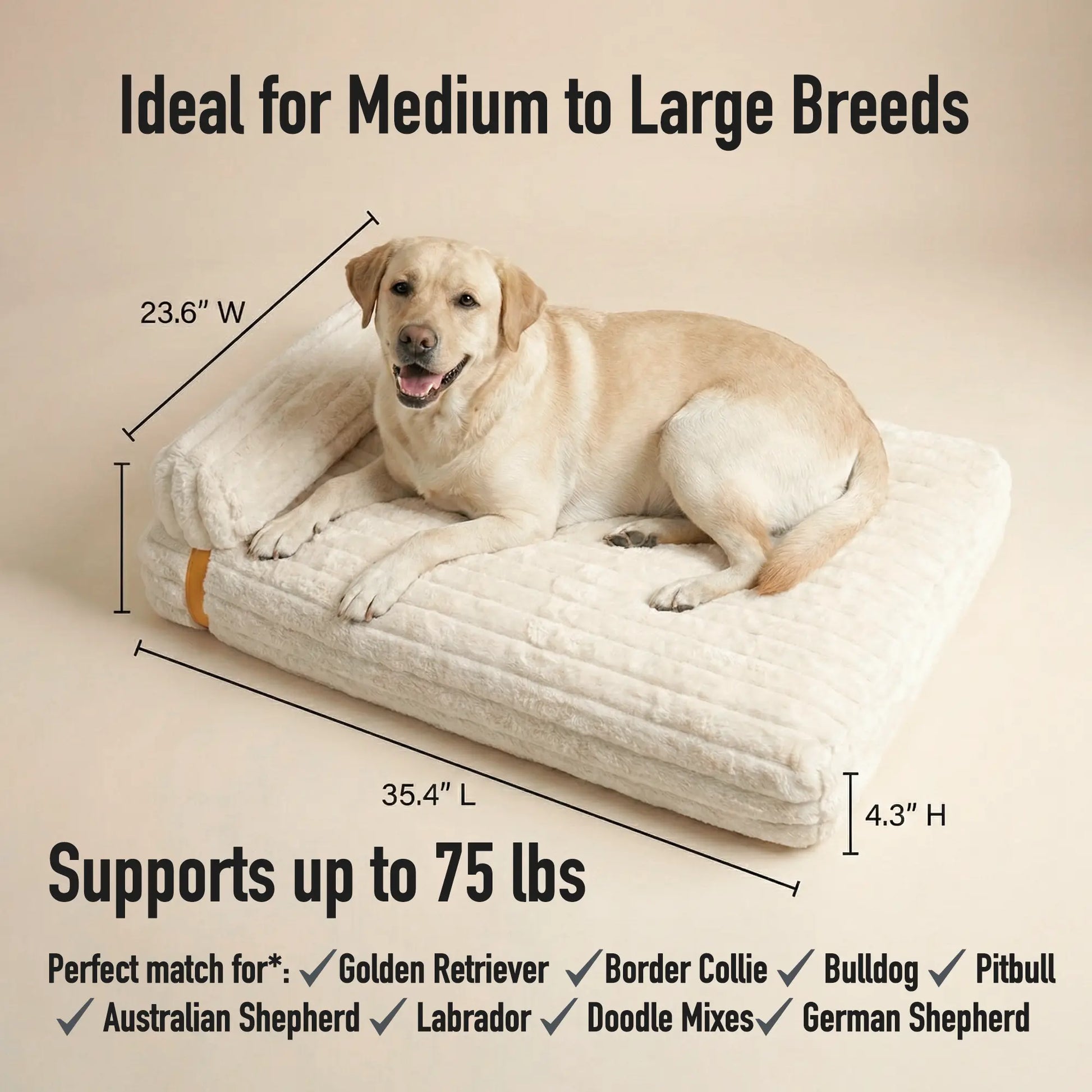 Orthopedic 3-in-1 Dog Bed Bundle with Waterproof Covers - Memory Foam Support (36" x 24") in Leather, Corduroy, and Holiday Plaid
