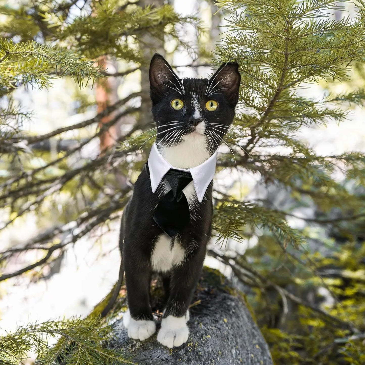 Striped Pet Collar and Bow Tie Set – Adjustable Neck Scarf Bib Grooming Accessory for Cats and Dogs