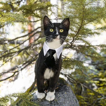 Striped Pet Collar and Bow Tie Set – Adjustable Neck Scarf Bib Grooming Accessory for Cats and Dogs