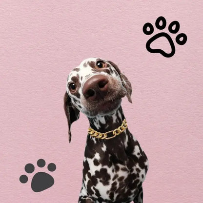 Cuban Link Chain Dog Collar in Sparkling Gold Aluminum - Lightweight, Durable, Comfortable, and Stylish Neck Accessory for Small Dogs - Ideal for Outdoor Activities