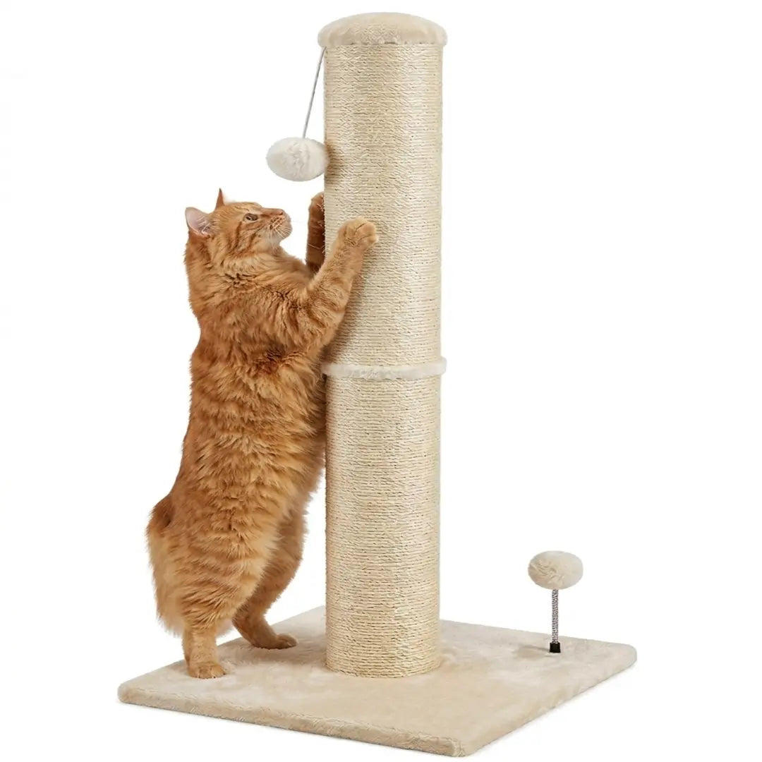 Pawrino Premium Tall Cat Scratching Post - Durable Sisal Coverage for Indoor Cats with Stable Base and Replaceable Toy Wand