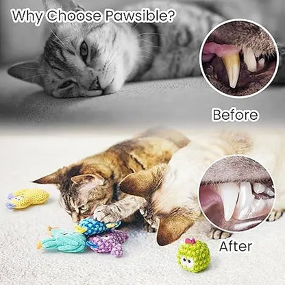 Pawsible 5-Pack Colorful Cactus Cat Toy Set with Premium Natural Herb Filling for Enhanced Stimulation and Soft Teething, Ideal for Kittens