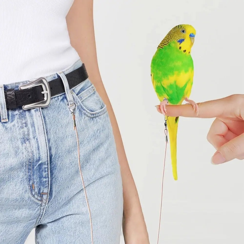 Premium Ultra-Light Bird Training Leash with Elastic Release Rope and Foot Ring Harness for Safe Indoor and Outdoor Flight Training