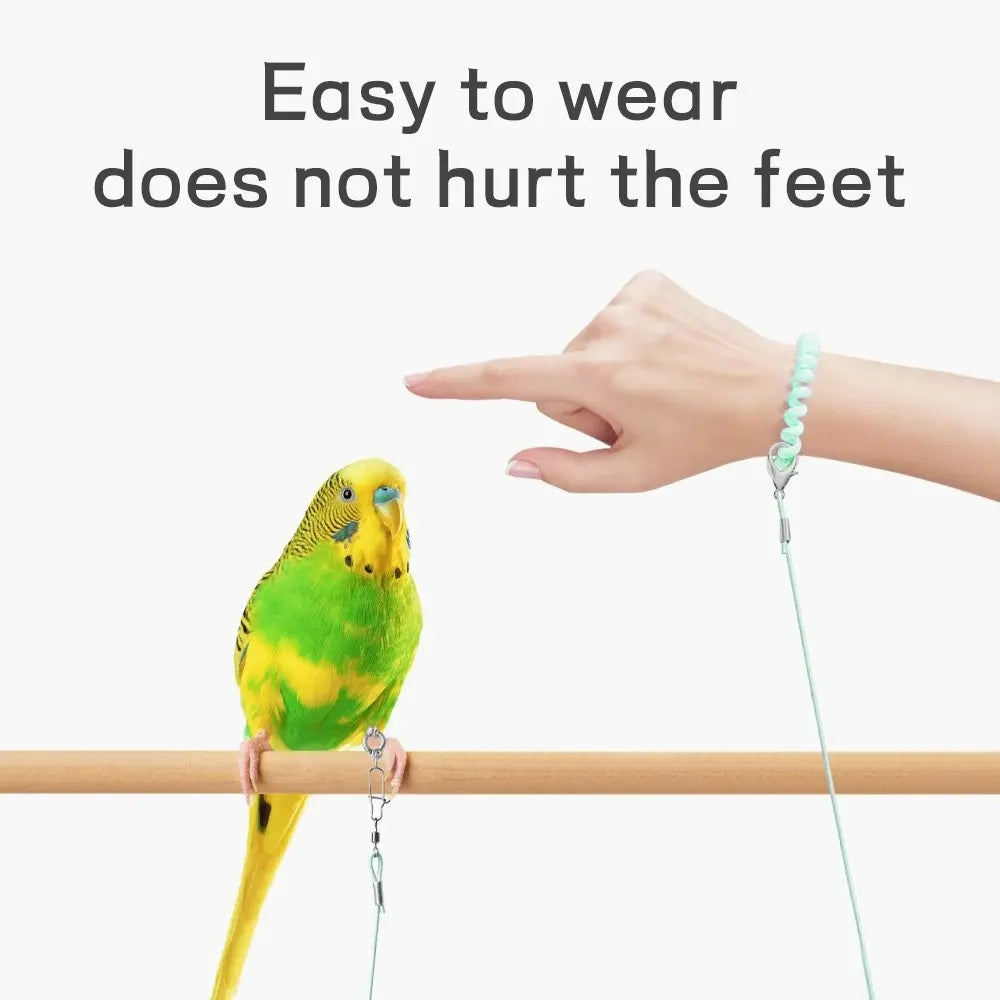 Premium Ultra-Light Bird Training Leash with Elastic Release Rope and Foot Ring Harness for Safe Indoor and Outdoor Flight Training