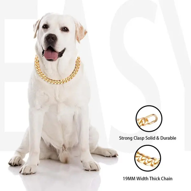 Cuban Link Chain Dog Collar in Sparkling Gold Aluminum - Lightweight, Durable, Comfortable, and Stylish Neck Accessory for Small Dogs - Ideal for Outdoor Activities