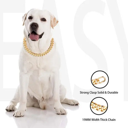 Cuban Link Chain Dog Collar in Sparkling Gold Aluminum - Lightweight, Durable, Comfortable, and Stylish Neck Accessory for Small Dogs - Ideal for Outdoor Activities