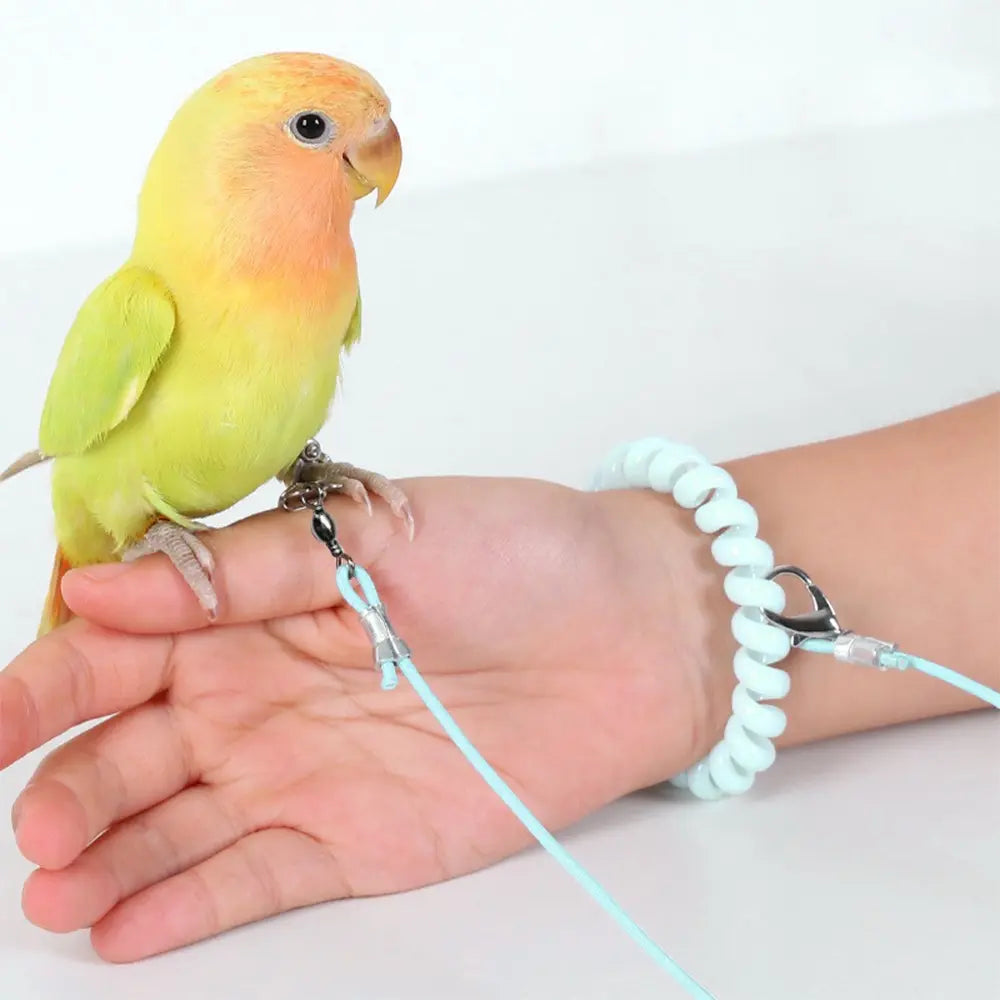 Premium Ultra-Light Bird Training Leash with Elastic Release Rope and Foot Ring Harness for Safe Indoor and Outdoor Flight Training