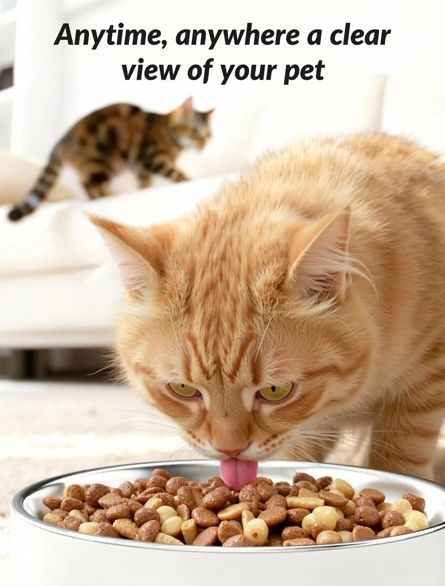 Smart Automatic Pet Feeder with Integrated Camera, 5L Capacity, Scheduled Feeding, Two-Way Audio, App Control, and Desiccant Bag for Cats and Dogs
