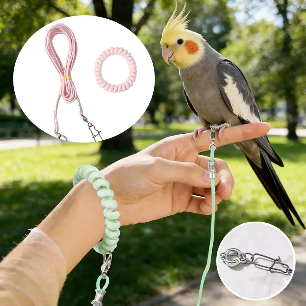 Premium Ultra-Light Bird Training Leash with Elastic Release Rope and Foot Ring Harness for Safe Indoor and Outdoor Flight Training