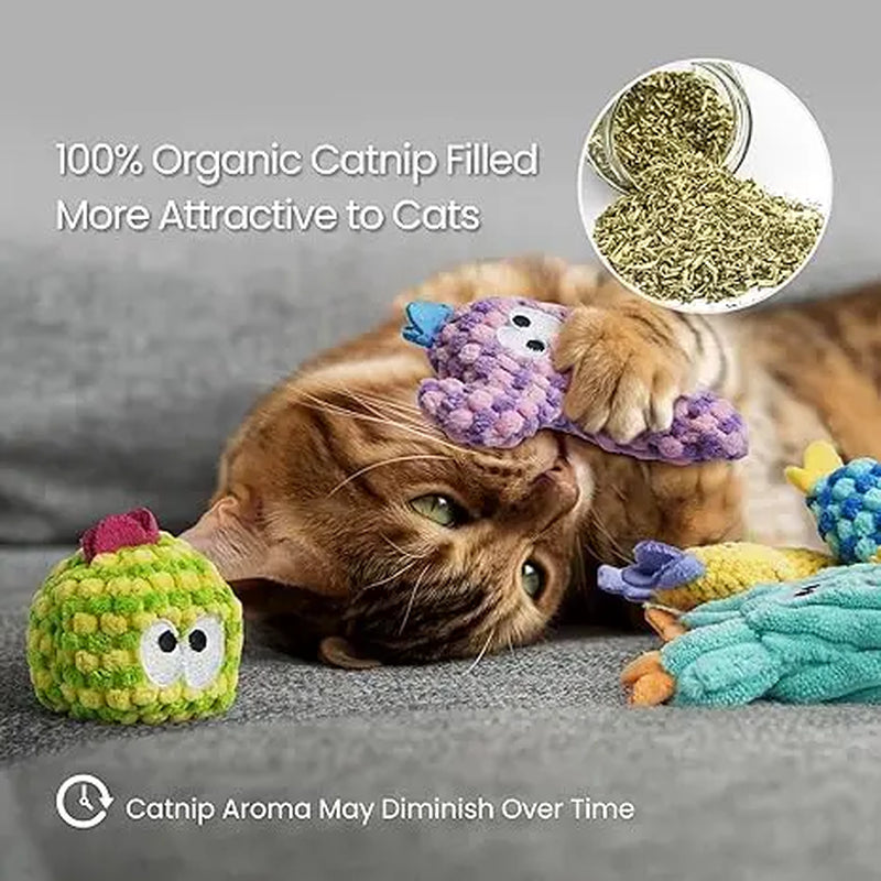 Pawsible 5-Pack Colorful Cactus Cat Toy Set with Premium Natural Herb Filling for Enhanced Stimulation and Soft Teething, Ideal for Kittens