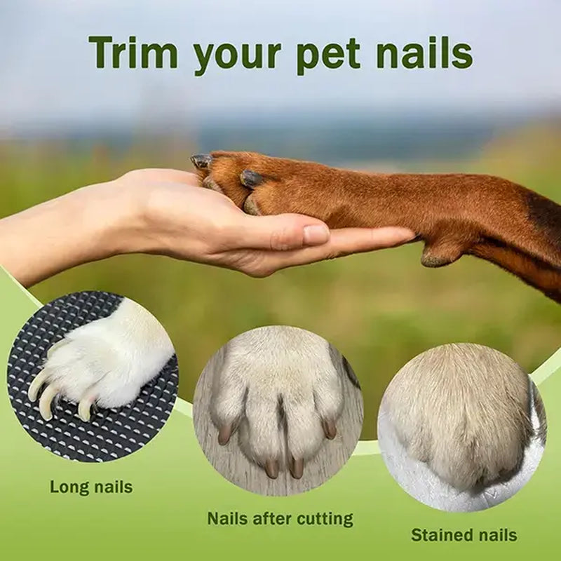 Professional Dual-Function Pet Nail Clippers with LED Light and Integrated Grinder for Dogs and Cats, Featuring Illuminated Blade, Low Noise Electric File, Safety Guard, and Nail Catcher for All Breeds