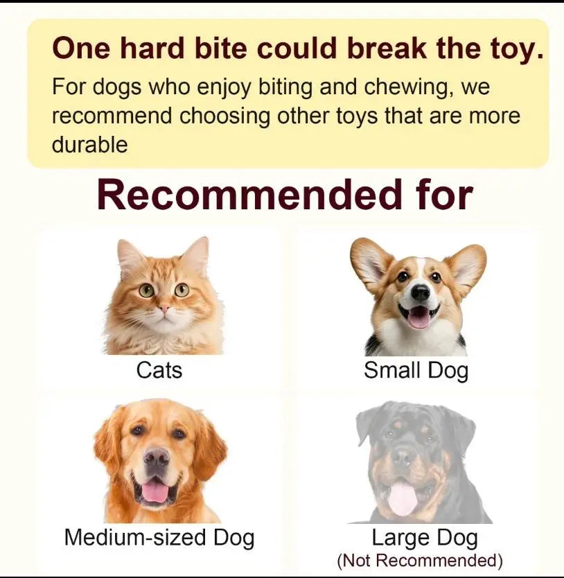 Rechargeable Interactive Pet Toy Ball with Bird Chirping Sound and Smart Motion Sensor, Designed for Durability and Quiet Operation, Offering Anti-Depression Benefits and Extended Battery Life for Versatile Use