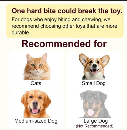 Rechargeable Interactive Pet Toy Ball with Bird Chirping Sound and Smart Motion Sensor, Designed for Durability and Quiet Operation, Offering Anti-Depression Benefits and Extended Battery Life for Versatile Use