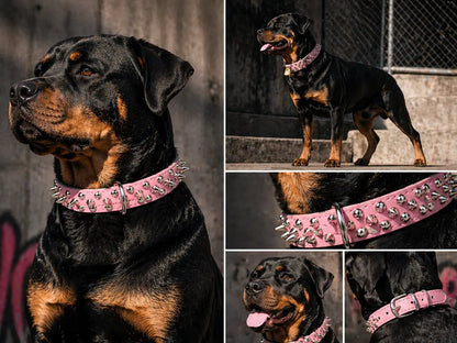 Spiked Anti-Bite Heavy-Duty Dog Collar for Medium and Large Breeds | Durable Neck Ring for Doberman, Pitbull, and German Shepherd | Stylish Design for Pets