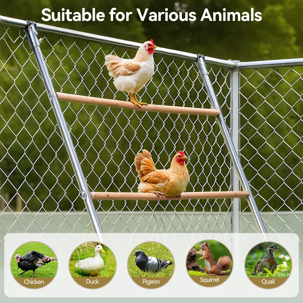 PAWGIANT Wooden Chicken Roosting Bars - 56''L x 42''W, Ideal for Backyard Farms, Easy to Assemble and Clean, Enhances Coop Comfort and Chicken Activity