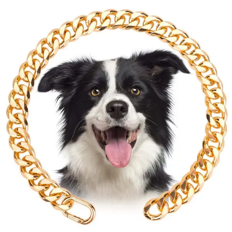 Cuban Link Chain Dog Collar in Sparkling Gold Aluminum - Lightweight, Durable, Comfortable, and Stylish Neck Accessory for Small Dogs - Ideal for Outdoor Activities