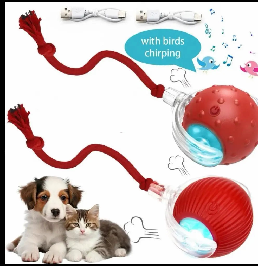 Rechargeable Interactive Pet Toy Ball with Bird Chirping Sound and Smart Motion Sensor, Designed for Durability and Quiet Operation, Offering Anti-Depression Benefits and Extended Battery Life for Versatile Use